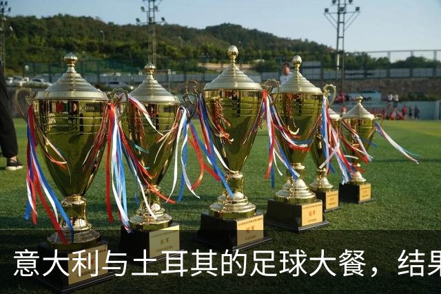 意大利与土耳其的足球大餐，结果是：3-1！